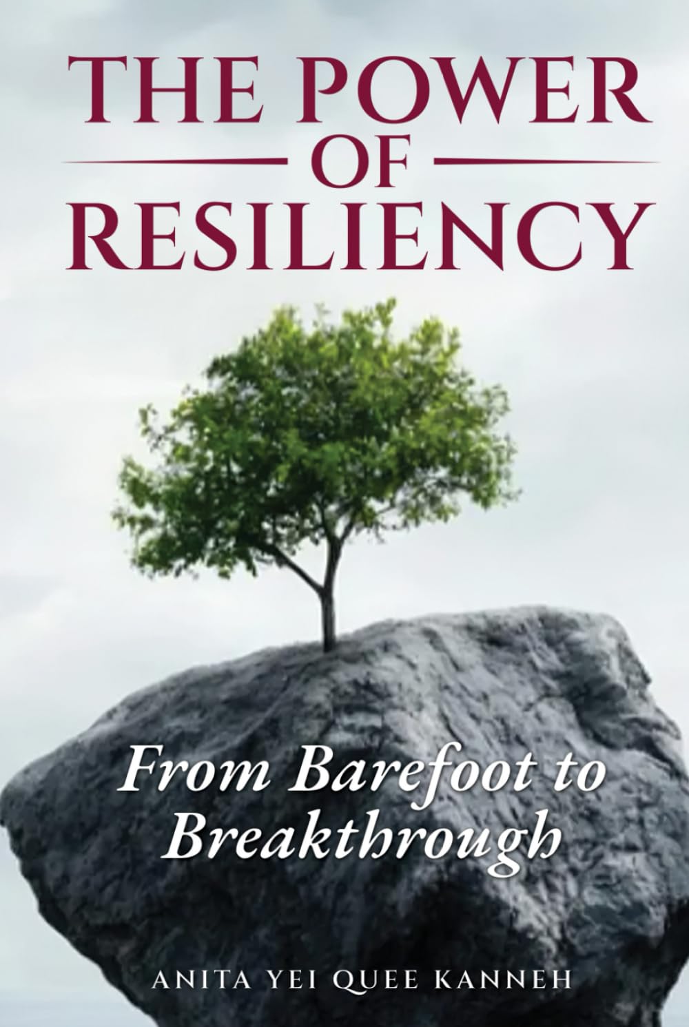 The Power Of Resiliency (Hard cover)